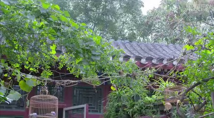 我爱男闺蜜第7集