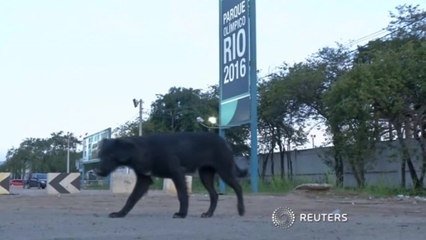 Workers at Olympic park in Rio continue strike