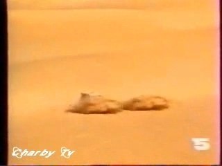 La Cinq - Paris Dakar - 1989