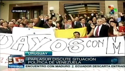 Paralasur aborda en sesión la situación de violencia en Venezuela