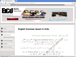 Present Indefinite Tense in Urdu