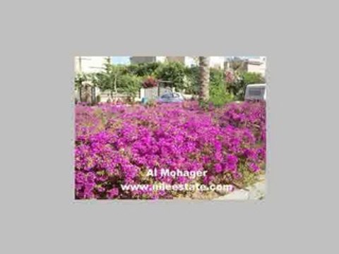 Egypt House for Sale Unfinished Villa for Sale Compound Al jazira New Cairo