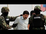 Mexican drug kingpin Joaquin 'El Chapo' Guzman transported to prison by police helicopter