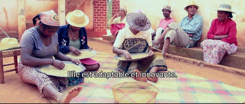 L'agriculture familiale, des agricultures d'avenir