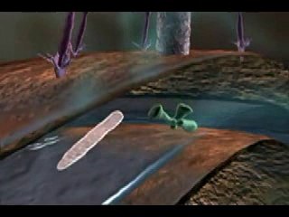 Viruses on the attack