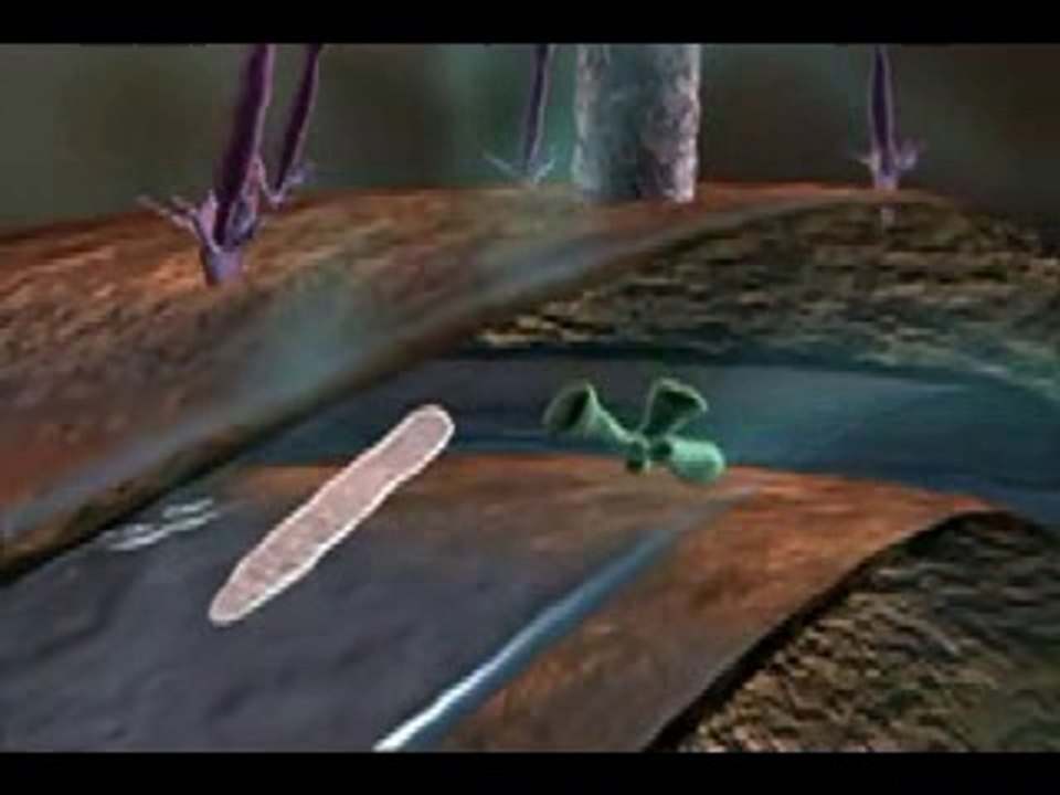 Viruses on the attack