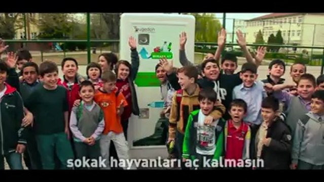 Sokak hayvanları için geri dönüşüm kutusu