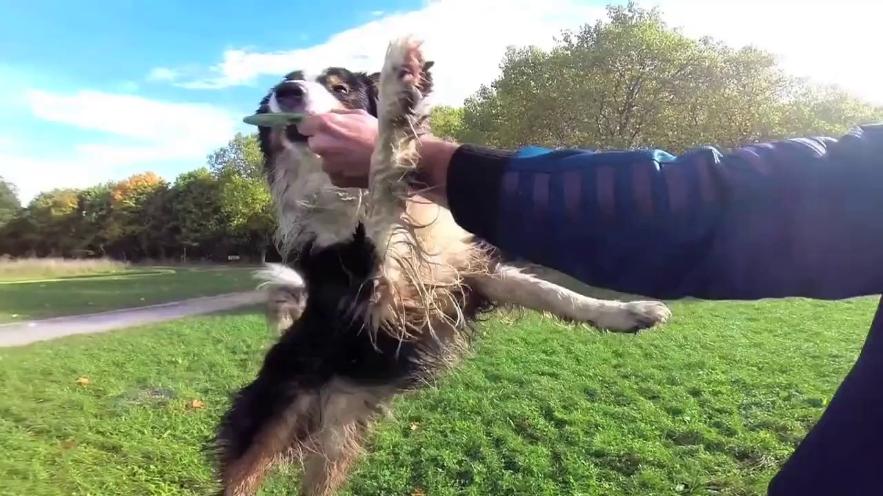 Paléo Festival Nyon - Hip hop 2014