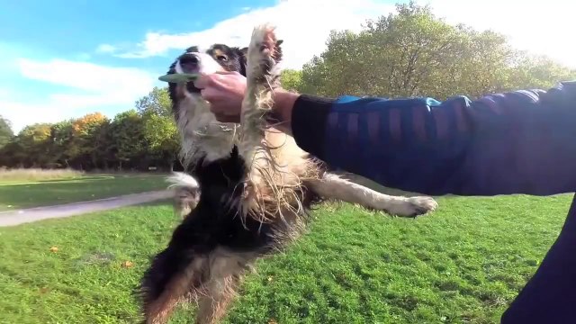 Paléo Festival Nyon - Hip hop 2014