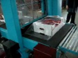 CAN Tekstil- DOMATES Paketleme Makinası Tam Otomatik PE(Mail-kısa)
