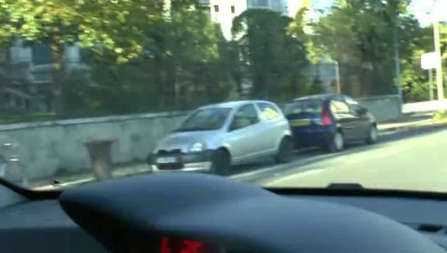 LES PROMENADES DE MICHOU W-D.D. - 7 AVRIL 2014 - SUIVEZ MOI DU CHATEAU NITOT A SUS A LA VILLA NITOT DE PAU.