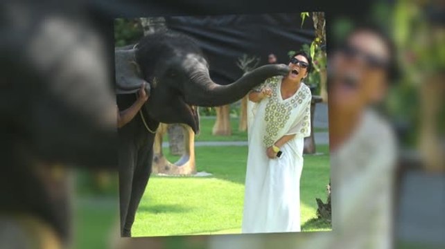 Des selfies avec des éléphants et des bains de soleil pour les Kardashian en Thaïlande