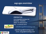 Sap Apo Online Training And Certification