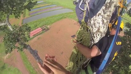 Base Jump from a tree !