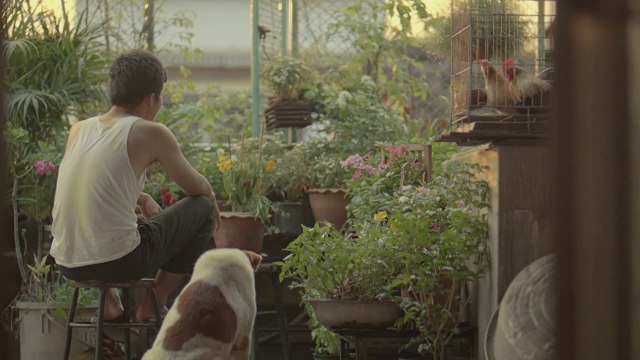 So so touching commercial film : Unsung Hero, TVC Thai Life Insurance