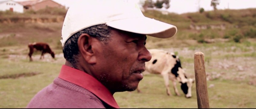 Accompagner les organisations paysannes dans leurs réussites