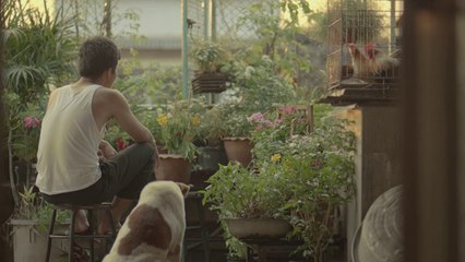 Une publicité très émouvante.. Larme à l’œil!