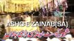 Qasida: Gal Soch Soch - Zakir Abbas Raza Jhandvi - Jhang, Pakistan