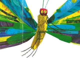 La chenille qui fait des trous - MS Angervilliers