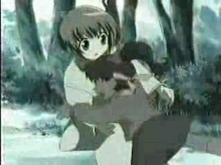 Fruits Basket