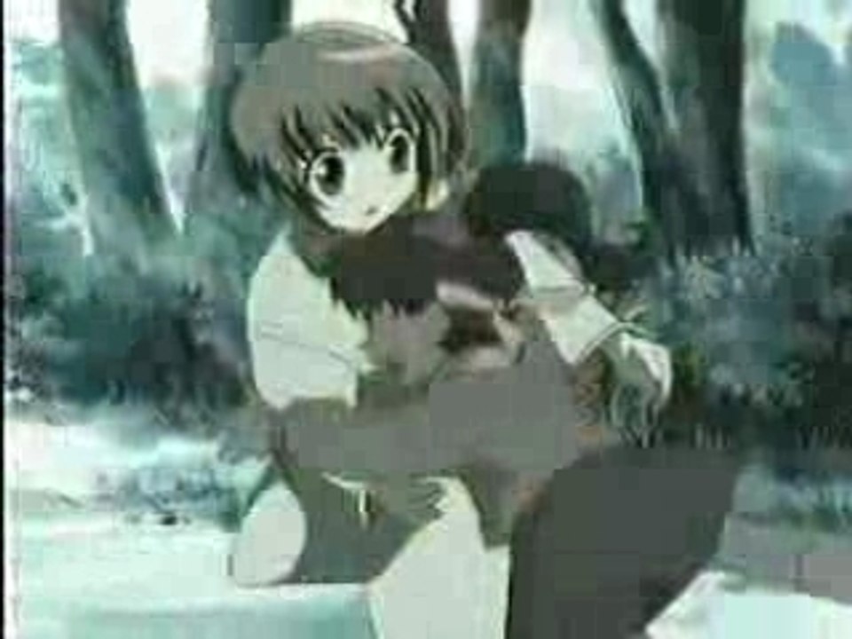 Fruits Basket