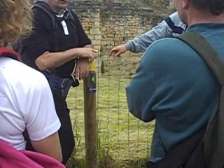 Balisage chemin de Compostelle (ou culturel)