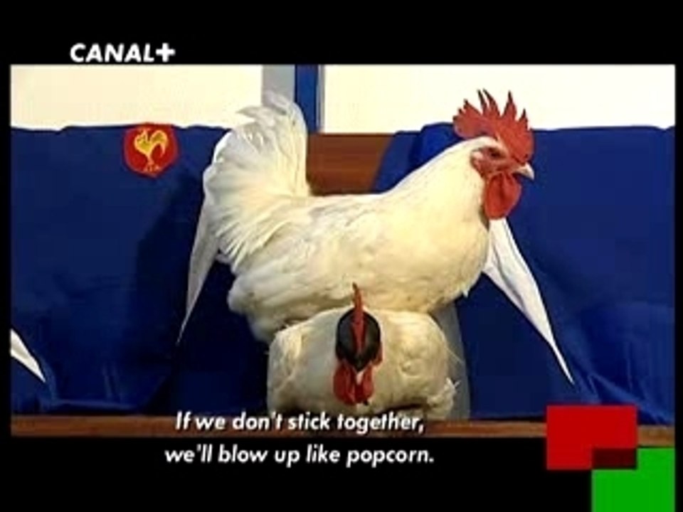 Bernard Laporte et ses coqs par LaGuille