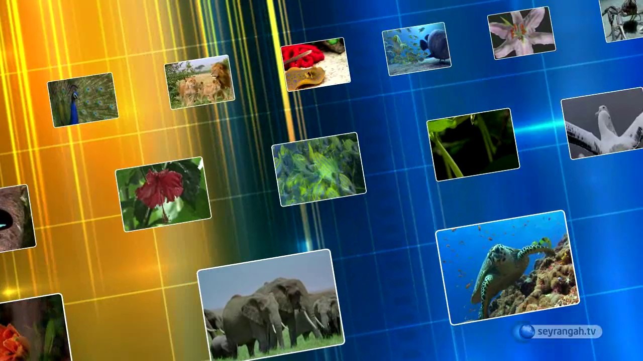 25- Hakimiyet mahkumiyet (Yaratılış Delilleri)