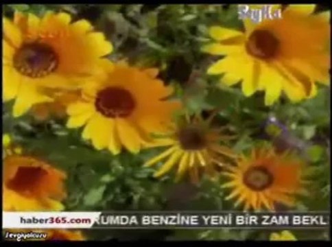 yılmaz sarıkaya ölürüm sana seyda