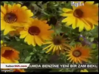 yılmaz sarıkaya ölürüm sana seyda