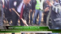 KENT ORMANI HAYAT BULUYOR