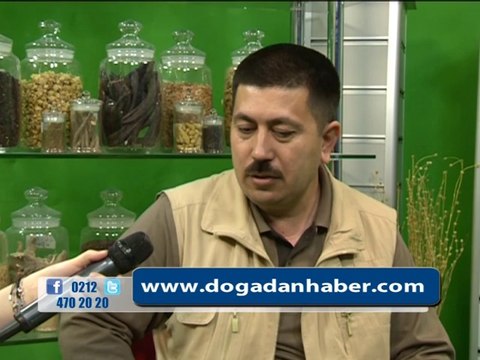 BEL VE BÖBREK AĞRILARI RAHATSIZLIĞI VARDI ŞİFALI BİTKİLERİ KULLANDI