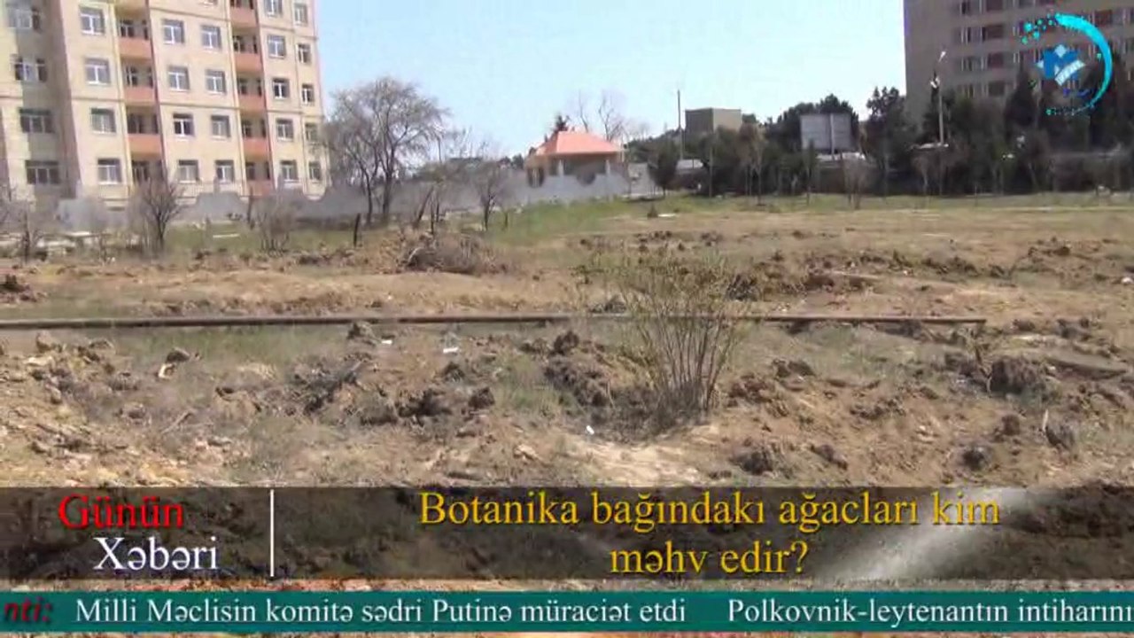 Botanika bağındakı ağacları kim məhv edir?