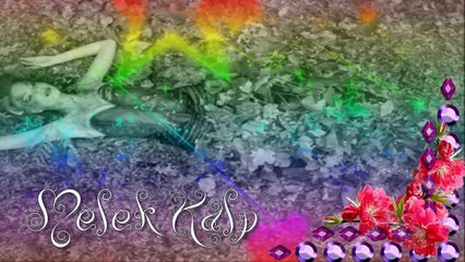 Ceylan __Hım Hım Yar 2014