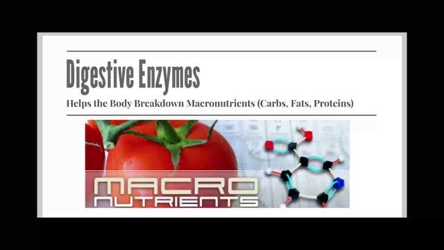Digestive Enzymes Promising Results in Individuals with Gluten Sensitivities