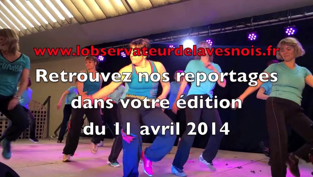 Foire aux mouches avesnes