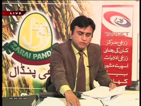 Zari Pandal with Saghir Ramay 5 April 2014 Part 02