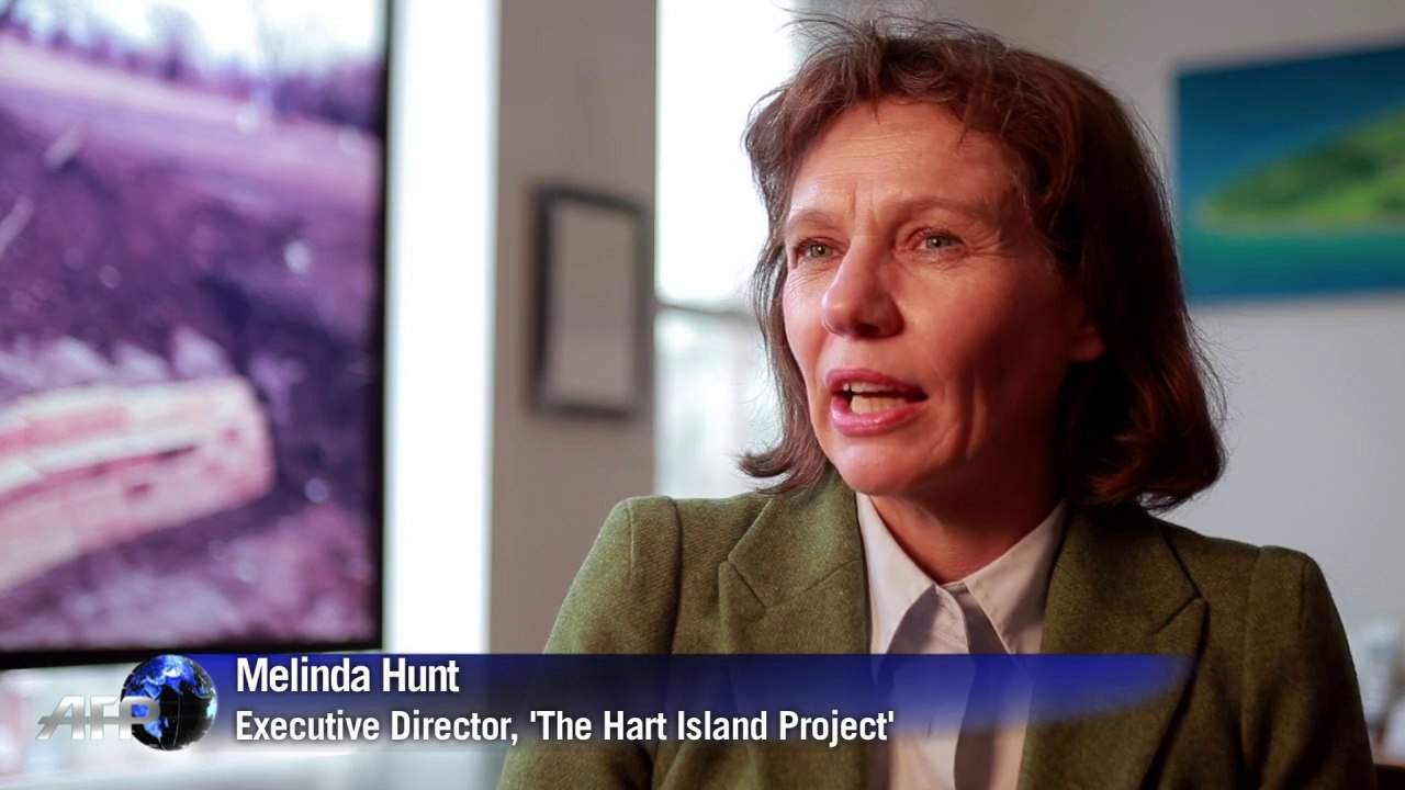 One million buried in mass graves on forbidden New York island