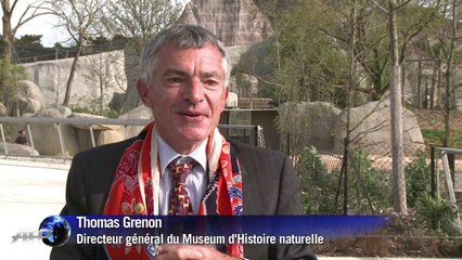 Biodiversité et bien-être animal au nouveau zoo de Vincennes