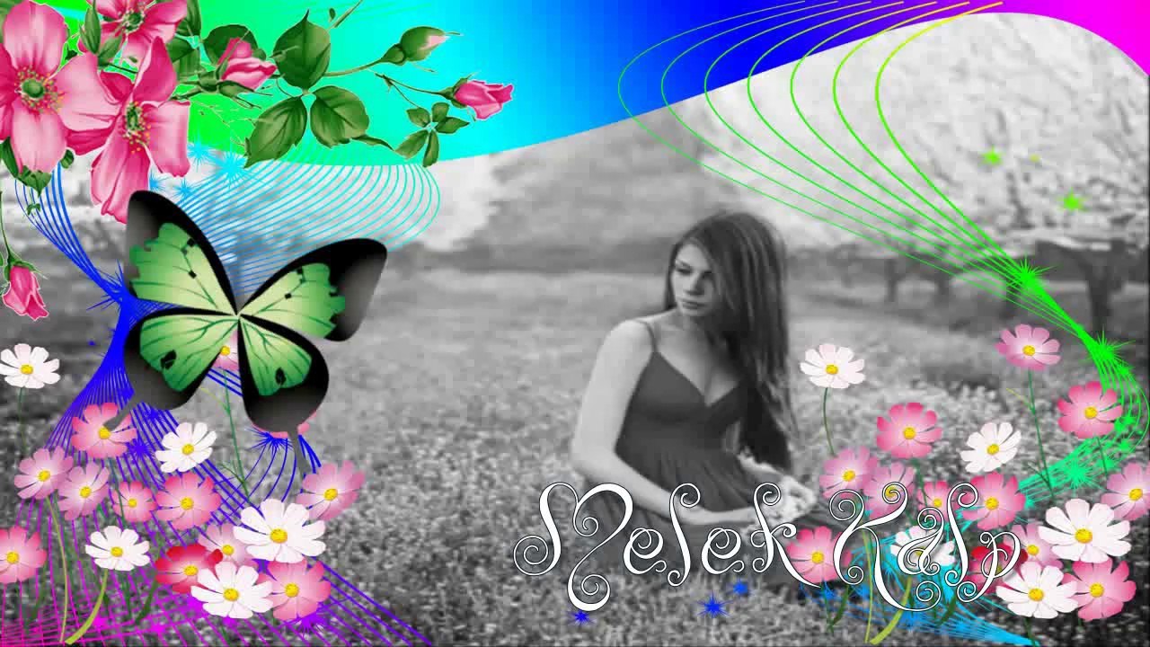 Ceylan __ Gelemezmisin ___ 2014