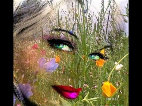 FERDİ ÖZBEĞEN-SEVDİM BİR GENÇ KADINI