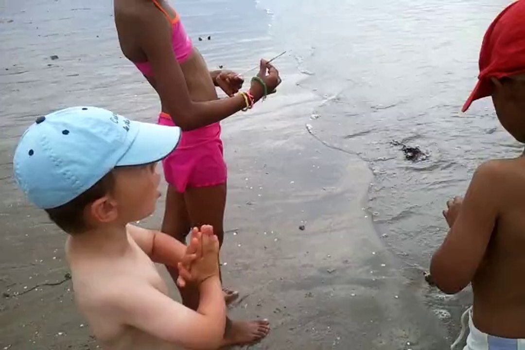 Vidéo0002 St Brévin les Pins 2012