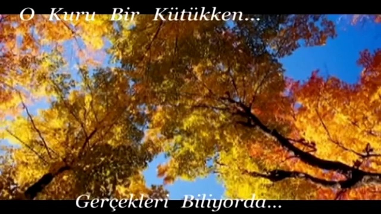 Kütük ve İnsan - Mustafa Caymaz