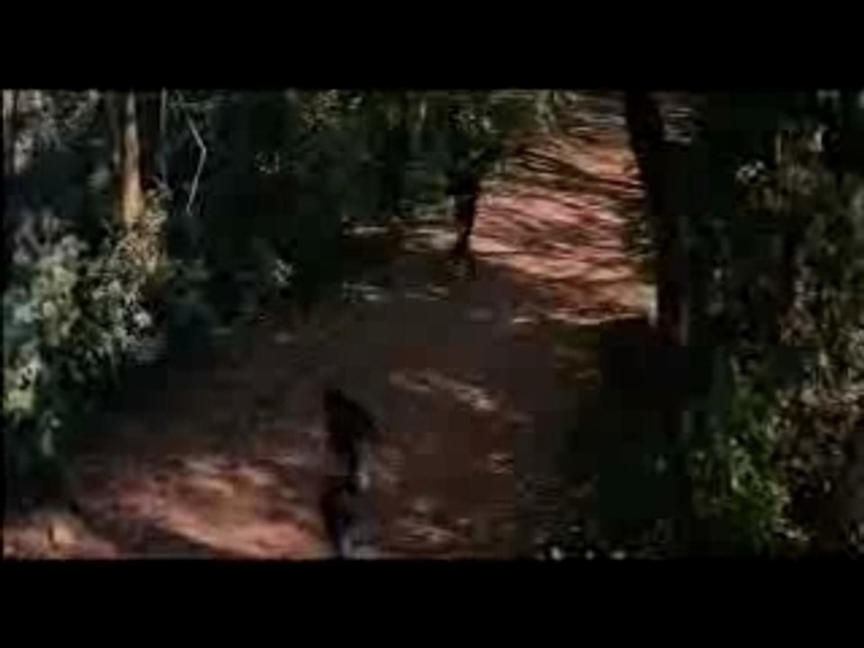 Dheere Dheere Aap Mere Dil - Baazi