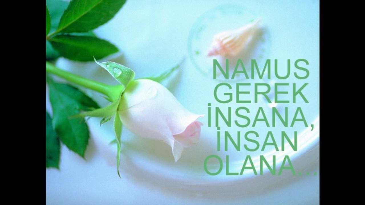 BİLGE SÖZLERİ / GÜZEL SÖZLER