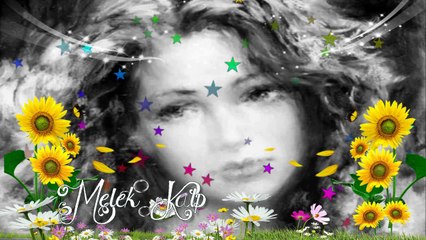 Ceylan ___ Sevmeyi Dene __ 2014