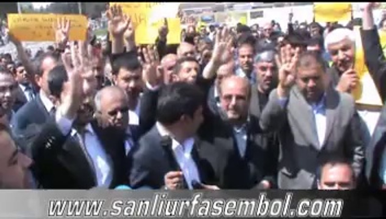 Mısır'daki İdamı Durdurmak İçin İmza Kampanyası Başlatıldı