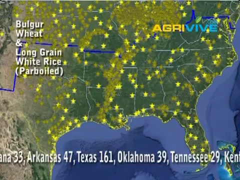 International Wheat Trading, Wheat Commodity Merchandiser, Bulk  Wheat Trading Companies