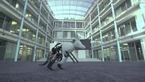 Robotic Kangaroo Can Hop On Forever!