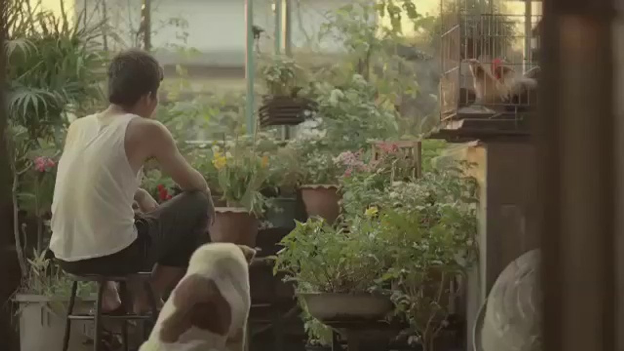El conmovedor anuncio que nos invita a ser mejores personas -